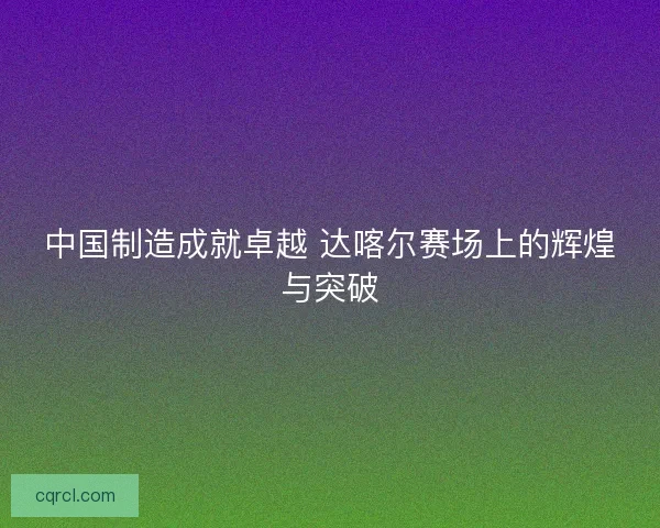 中国制造成就卓越 达喀尔赛场上的辉煌与突破